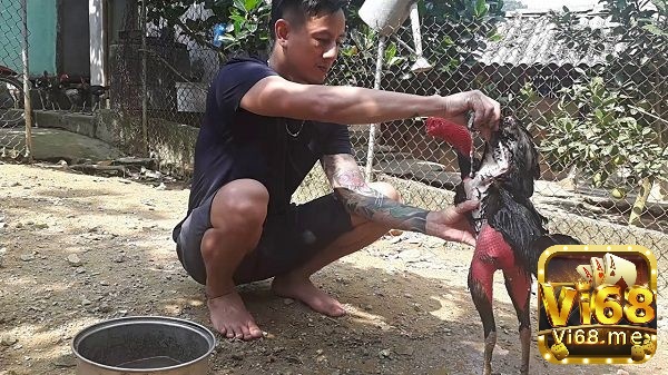 Phơi nắng và tắm nước lạnh luân phiên giúp nâng cao sức đề kháng và cải thiện độ đàn hồi