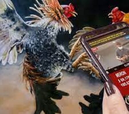 Hướng dẫn đá gà trực tuyến – Quy tắc và lưu ý cho người mới