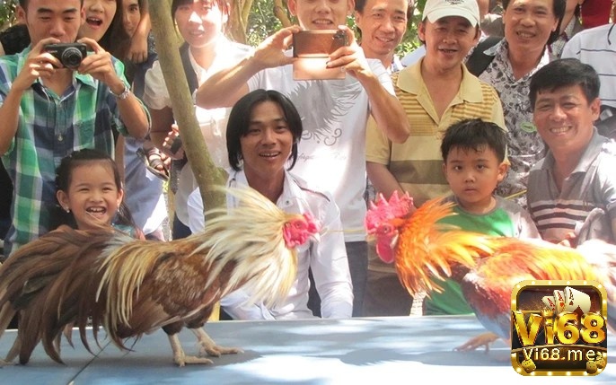 Lựa chọn chiến thuật phù hợp phụ thuộc vào đặc điểm của gà và phong cách của đối thủ