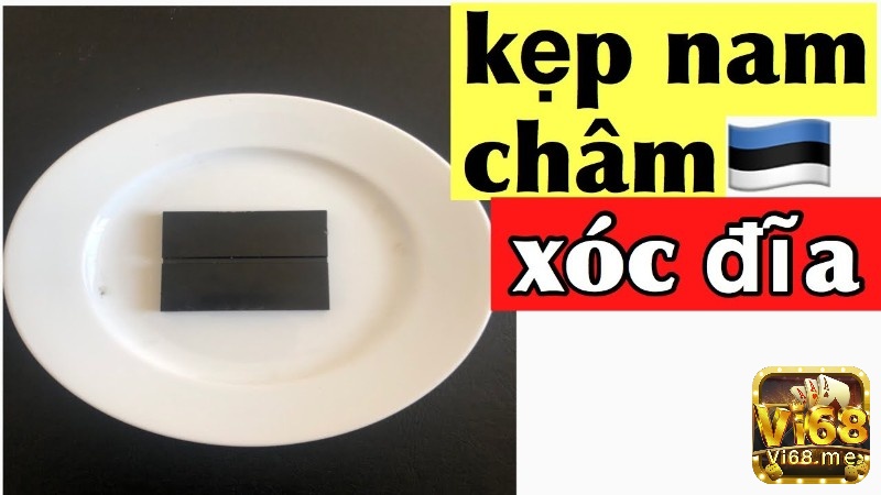 Những thông tin tổng quan về kẹp nam châm xóc đĩa
