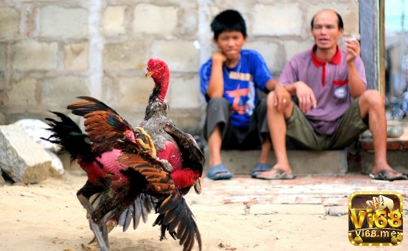 Quản lý vốn cẩn thận và hiệu quả giúp bạn có thể tính toán lợi nhuận của mình tốt hơn