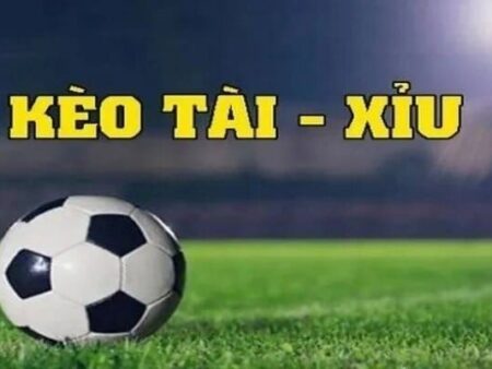 Kèo tài xỉu 2.5: Hướng dẫn chi tiết và chiến thuật thắng lợi 2025