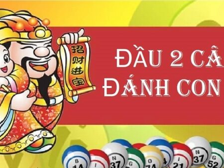 Lô đầu 2 câm đánh con gì? Bí kíp soi cầu cho người mới bắt đầu