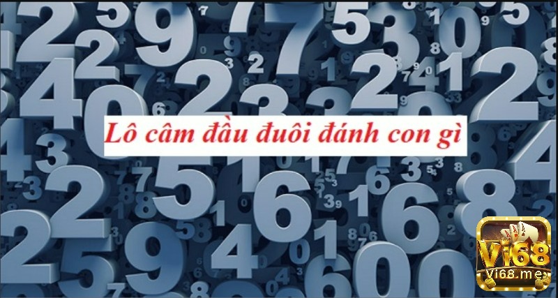 Bảng tổng hợp kinh nghiệm đánh lô đầu câm cho thấy từng đầu số thường trả lại những con số gợi ý với xác suất cao trong ngày kế tiếp
