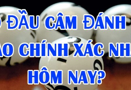 Kinh nghiệm đánh lô đầu câm chuẩn xác từ cao thủ lô đề