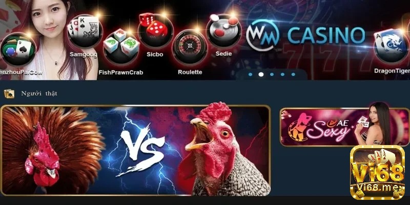Đá gà trực tuyến tại casino cho phép anh em cược thoải mái cùng những ưu đãi vô cùng hấp dẫn