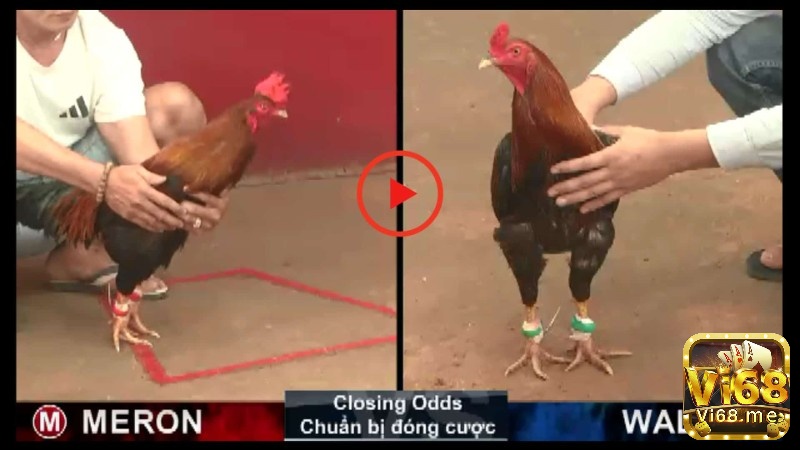 Dù anh em có tham gia chơi gì thì việc hiểu rõ luật chơi là vô cùng cần thiết